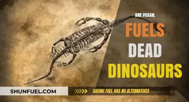 Fossil Fuels: Dead Dinosaurs or Ancient Plants?