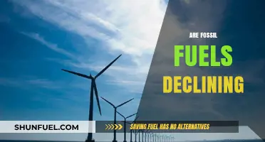 The End of Fossil Fuels: What's Next?