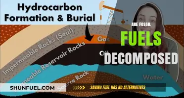 How Fossil Fuels Decompose: The Breakdown