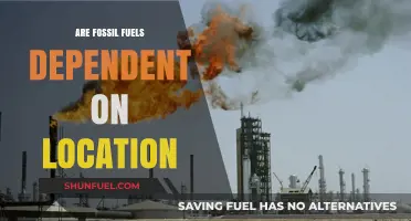 Fossil Fuels: A Geographically Dependent Resource