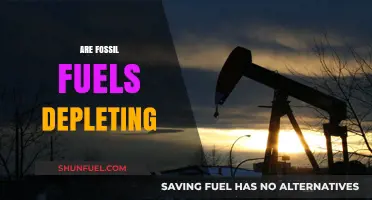 The End of Fossil Fuels: What's Next?