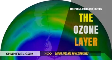 How Fossil Fuels Damage the Ozone Layer