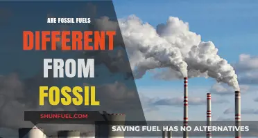 Fossil Fuels: Ancient Organisms Powering Our World