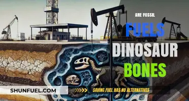 Fossil Fuels: Ancient Bones or Energy Source?
