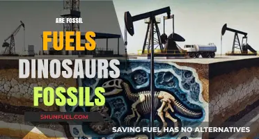 Fossil Fuels: Dinosaur Bones or Something Else?