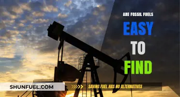 Where Do Fossil Fuels Come From?