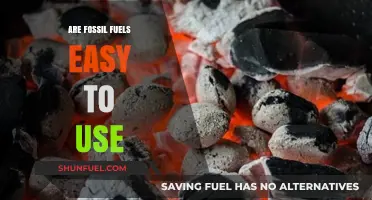 Fossil Fuels: Convenient Energy Sources?