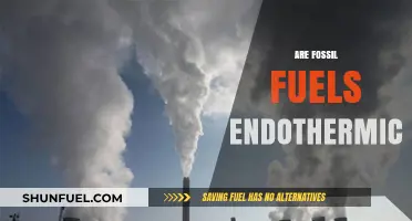 Fossil Fuels: Endothermic Energy Sources Explained