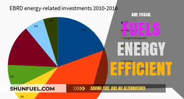 Fossil Fuels: Energy Efficiency or Inefficiency?