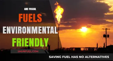 Fossil Fuels: Environmental Friend or Foe?