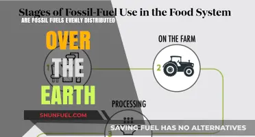 Fossil Fuels: Unevenly Distributed Across the Globe