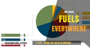 Fossil Fuels: Ubiquitous, Yet Finite