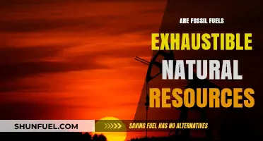 Fossil Fuels: Finite Resources, Infinite Problems