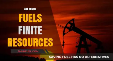 The End of Fossil Fuels: Finite Resources, Infinite Problems
