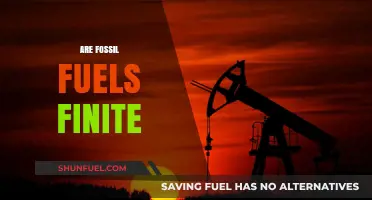 The End of Fossil Fuels: Finite Resources, Infinite Problems