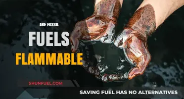 Fossil Fuels: Flammable and Dangerous