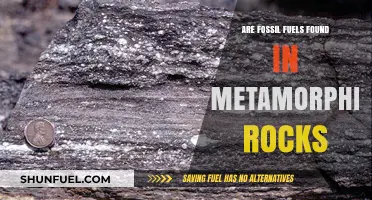 Fossil Fuels and Metamorphic Rocks: Any Connection?