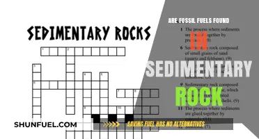Sedimentary Rock: Home of Fossil Fuels?