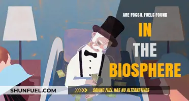How Fossil Fuels Affect the Biosphere