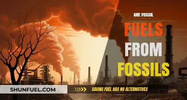 Fossil Fuels: Myth of a Fossil Origin