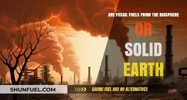 Fossil Fuels: Earth's Core or Biosphere's Bounty?