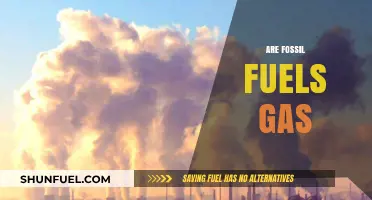 Fossil Fuels: Gas or Not?