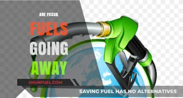 The Inevitable End of Fossil Fuels