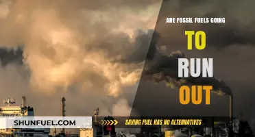 The End of Fossil Fuels: What's Next?