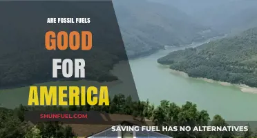 Fossil Fuels: America's Friend or Foe?