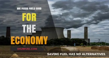 Fossil Fuels: Economic Boon or Bane?