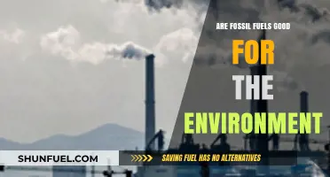 Fossil Fuels: Environment Friend or Foe?