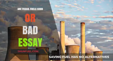 Fossil Fuels: Good, Bad, and the Future