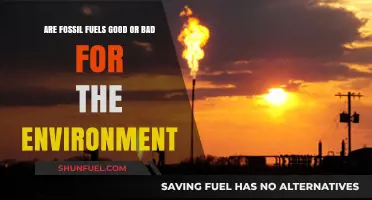 Fossil Fuels: Environment Friend or Foe?