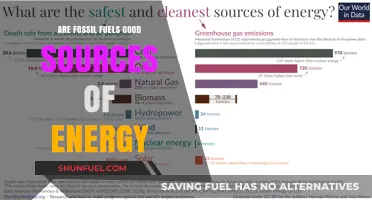 Fossil Fuels: Sustainable Energy or Environmental Disaster?