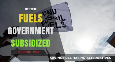 Fossil Fuel Subsidies: Government Support for an Industry