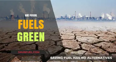 Fossil Fuels: Green or Grim?