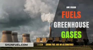 Fossil Fuels: Greenhouse Gas Culprits