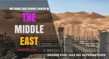 Middle East: Fossil Fuel Hotspot or Not?