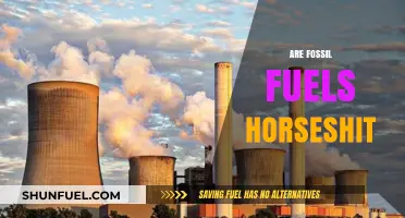 Fossil Fuels: Horseshit or Our Future?