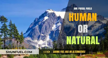 The Truth About Fossil Fuels: Natural or Man-Made?
