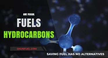 Hydrocarbons and Fossil Fuels: What's the Connection?