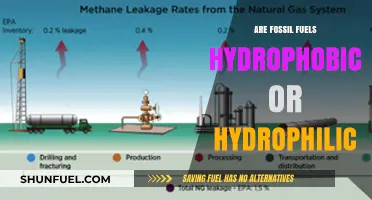 Fossil Fuels: Hydrophobic or Hydrophilic?