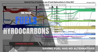 Fossil Fuels: Hydrocarbons and Their Impact