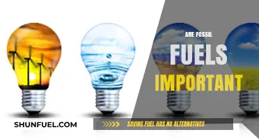 Fossil Fuels: Necessary Evil or Outdated Energy Source?