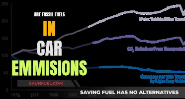 Unveiling the Role of Fossil Fuels in Car Emissions