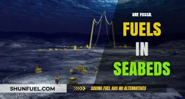 Unlocking Seabed Fossil Fuels: Pros and Cons