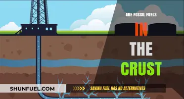 Fossil Fuels: Hidden in Earth's Crust?