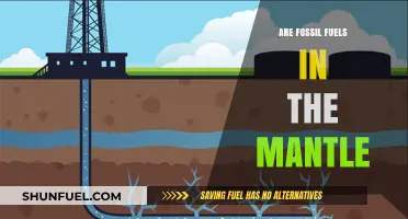The Mantle's Fossil Fuel Mystery: What Lies Beneath?