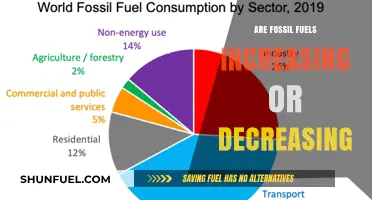 The Future of Fossil Fuels: Increase or Decrease?