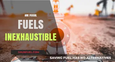 The Myth of Infinite Fossil Fuels